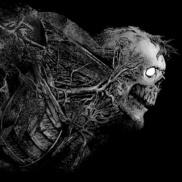 Foto de perfil de guilhermesilva