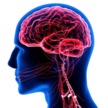 Foto de perfil de saberquantico