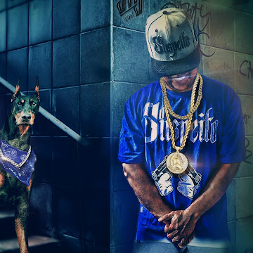 Foto de perfil de maurojbrito