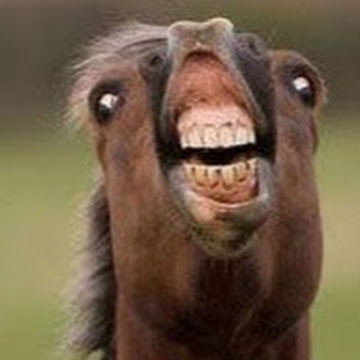 Foto de perfil de miguelmaschetti