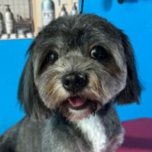 Foto de perfil de Eliel