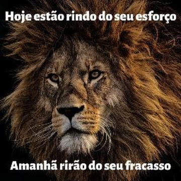Foto de perfil de denisdavl