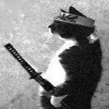 Foto de perfil de magodex