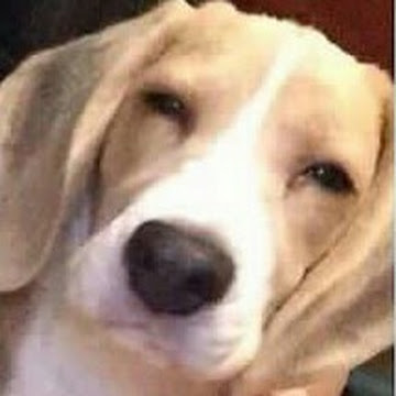 Foto de perfil de jhonatan